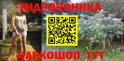 spice Северобайкальск