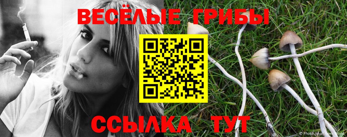 Галлюциногенные грибы ЛСД Печора