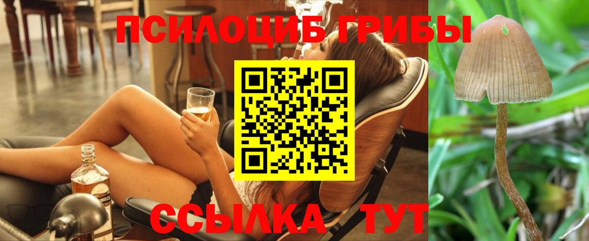 Печора  Галлюциногенные грибы мухоморы  Вход с VPN  Галлюциногенные грибы мухоморы 